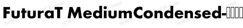 FuturaT MediumCondensed字体转换